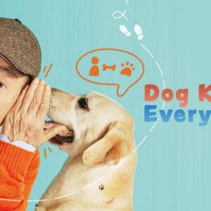 Dog Knows Everything (A Cadela Sabichona): Um Dorama Para Se Divertir!