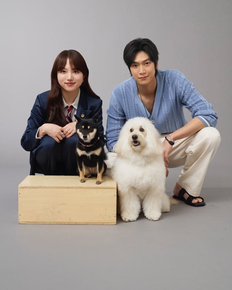 Sinopse do drama Amor é para os cães